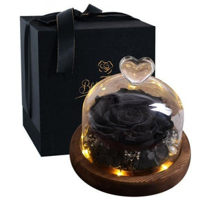 Limited Edition 2023 Immortal Enchanted Rose Glass Heart Dome (15 Colors) With Luxury Gift Box