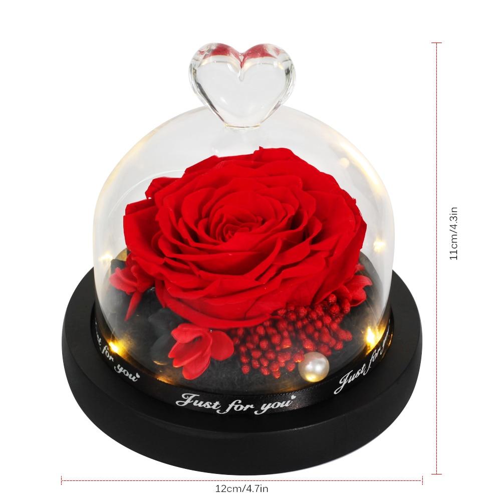 Limited Edition Immortal Enchanted Rose Glass Heart Dome (15 Colors) With Luxury Gift Box