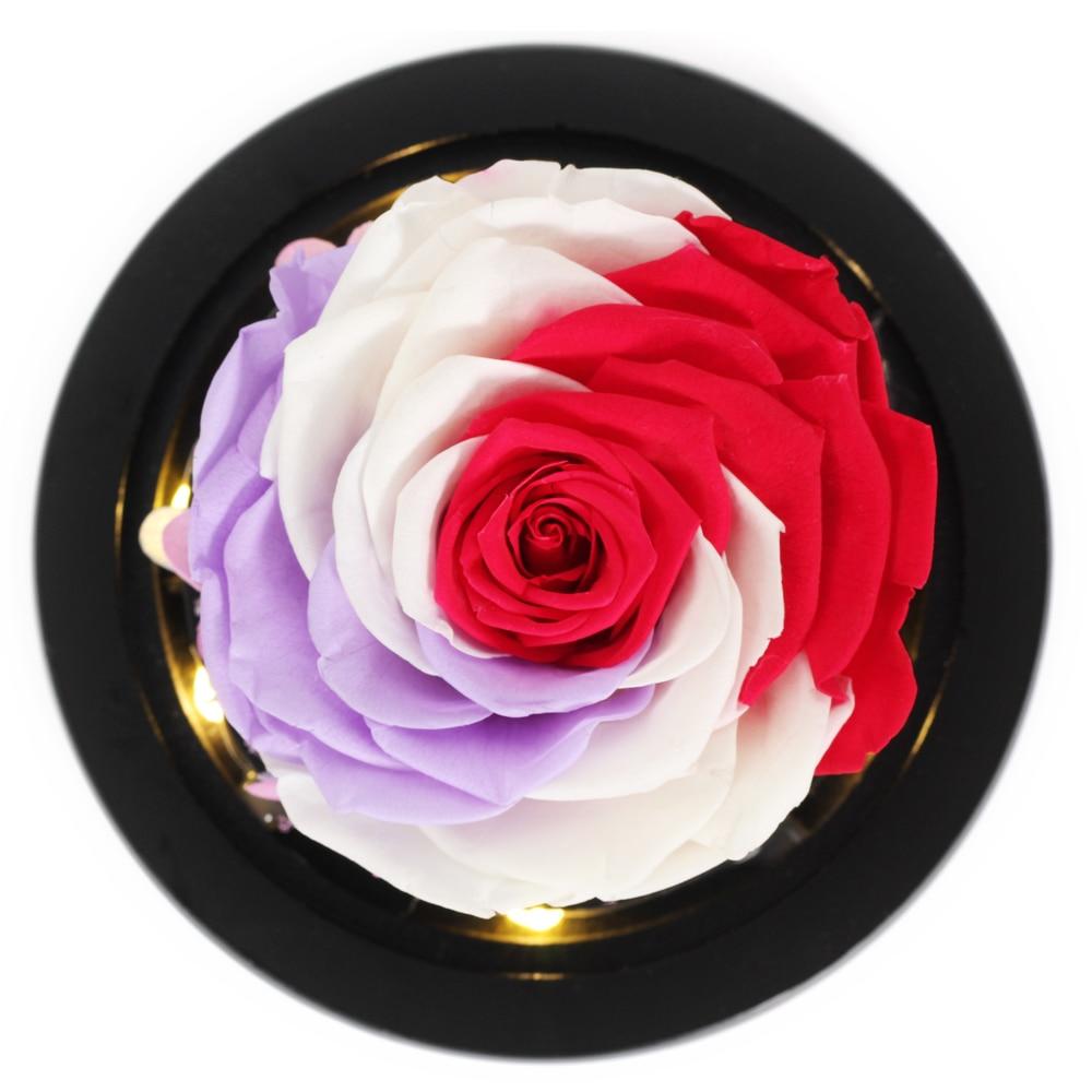 Limited Edition Immortal Enchanted Rose Glass Heart Dome (15 Colors) With Luxury Gift Box