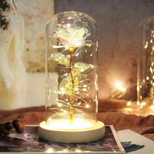 Mother & Child Father & Child Galaxy Enchanted Rose LED Glass Display (34 Designs)