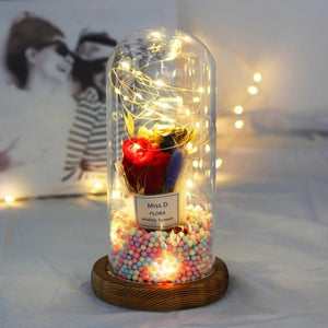 Mother & Child Father & Child Galaxy Enchanted Rose LED Glass Display (34 Designs)