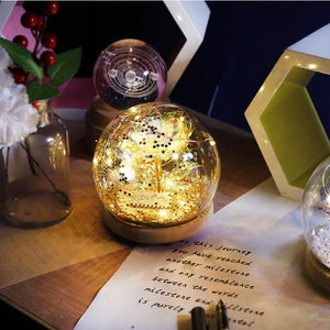 Galaxy Crystal Ball Enchanted Red Rose LED Glass Display (Gold or Silver Stars)