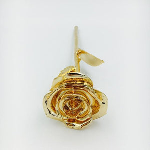 Preserved 24k Gold Long Stem Immortal Rose with Display Stand