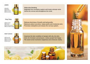 Essential Oil 15 Piece Gift Set 7 Day Diary (All Natural)