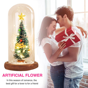 Enchanted Christmas Tree LED Glass Display (5 Designs) Limited Edition