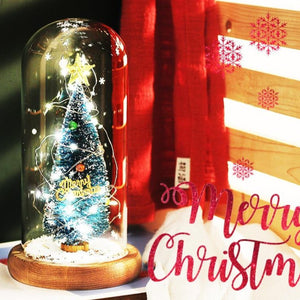 Enchanted Christmas Tree LED Glass Display (5 Designs) Limited Edition