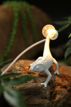 Nordic Chameleon Lizard Lamp (5 Styles)