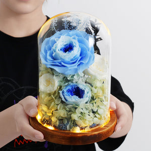 Immortal Enchanted Preserved Rose Glass Display Bouquet (22 Styles)