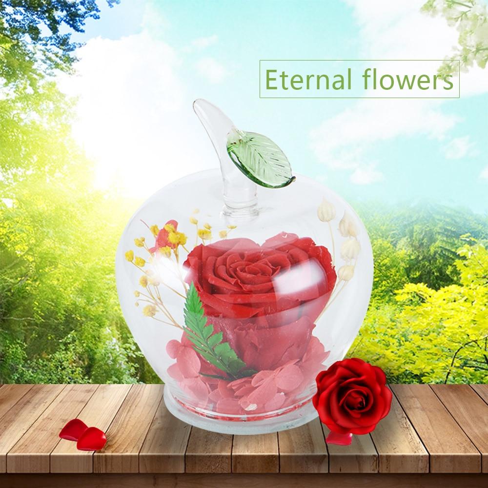 Apple Enchanted Immortal Rose Glass Display