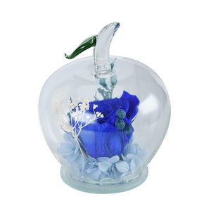 Apple Enchanted Immortal Rose Glass Display