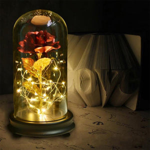 Enchanted Rose LED Glass Display (22 Designs)