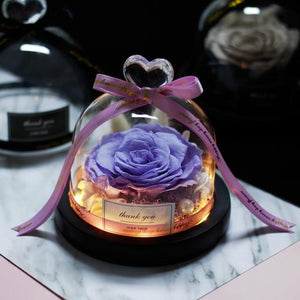 Immortal Enchanted Rose Glass Heart Dome (15 Designs)