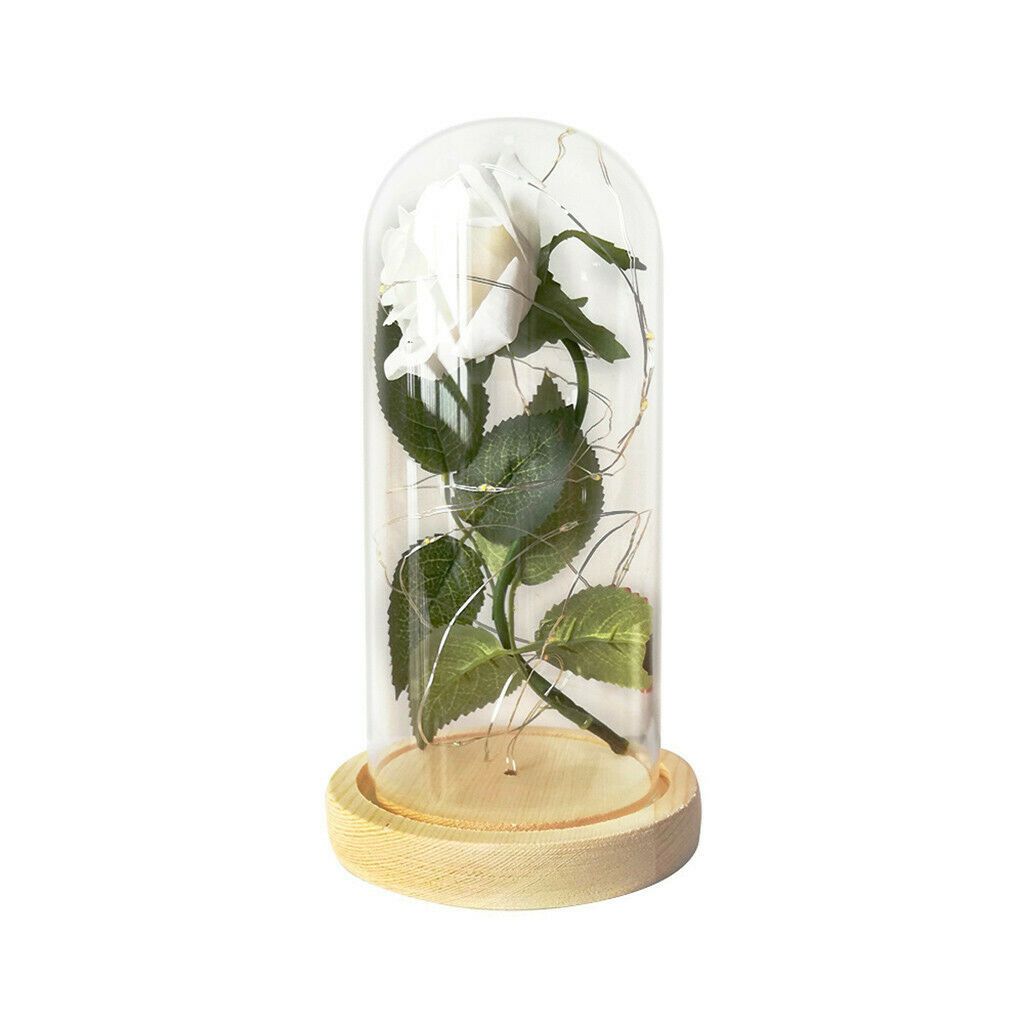 Black, White or Red Enchanted Rose LED Glass Display